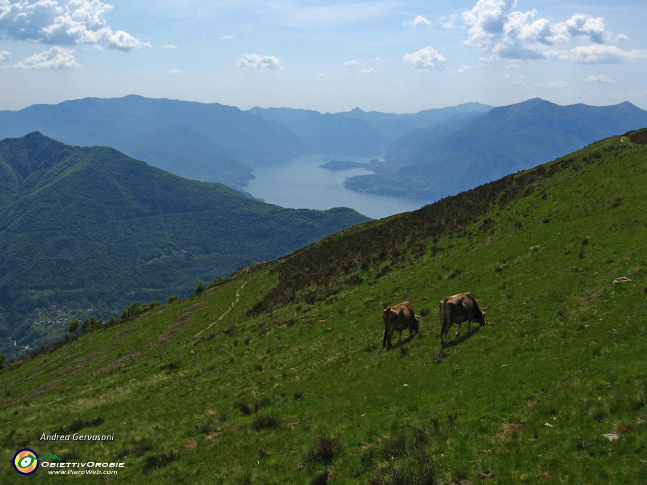 16 pascoli all'Alpe Giumello.jpg